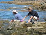 washing dishes in the Ocean