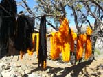 drying colored wool