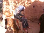 on the donkey, near Taroudannt