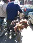 Strange food in Marrakech