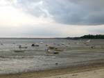 Cancale, low tide