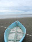Camargue