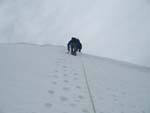 Corno alle scale
