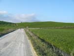 L'Eroica, route Siena-Radi