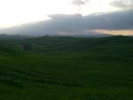 from Siena to Radi