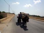 african landscapes in Lampedusa