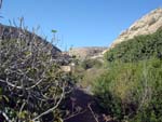 Island of Lampedusa, Cala Pulcino, almost maghreb