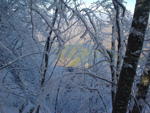 winter colours, Falterona
