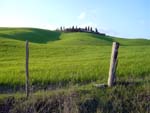 from Siena to Radi