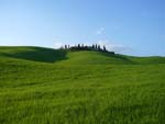from Siena to Radi