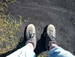 Feet on the turf