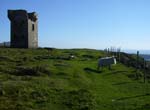 standing tower and lonely sheep