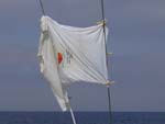 experienced tshirt on the shrouds