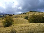 Alpe di succiso
