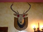 pub