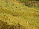 Quiraing