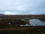 bog