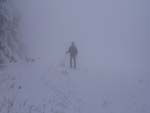 in the fog, Falterona