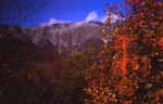 Monte Vettore (Sibillini), Central Appennin; fall