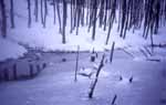 Monte Falterona, Northeastern Tuscany; frozen pond
