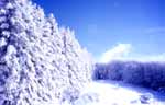 Monte Falterona, Northeastern Tuscany; frozen sky