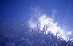 Monte Falterona, Northeastern Tuscany; frozen sky
