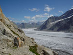 Aletsch Glacier from Konkordia Hutte