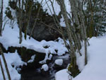 Snow, Faunistic Park of Amiata in winter