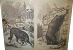 Beasts on the alps