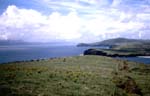 Dingle Bay, Ireland