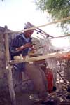 Ladakh; weaver