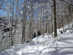 Snow in M. Prado, Nothern Appennine