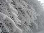 winter on Falterona