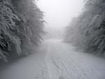 winter on Falterona