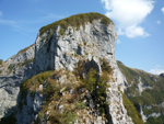 Procinto, Apuane