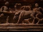 etruscan wild boar hunted
