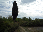 South Firenze