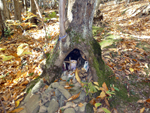 little sanctuary
