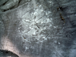 sign, Apuane
