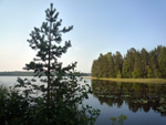 Savonlinna