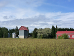 country
