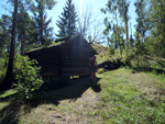 house in the wood