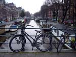 bikes