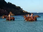 freedom in Cateraggio beach, Porto Vecchio